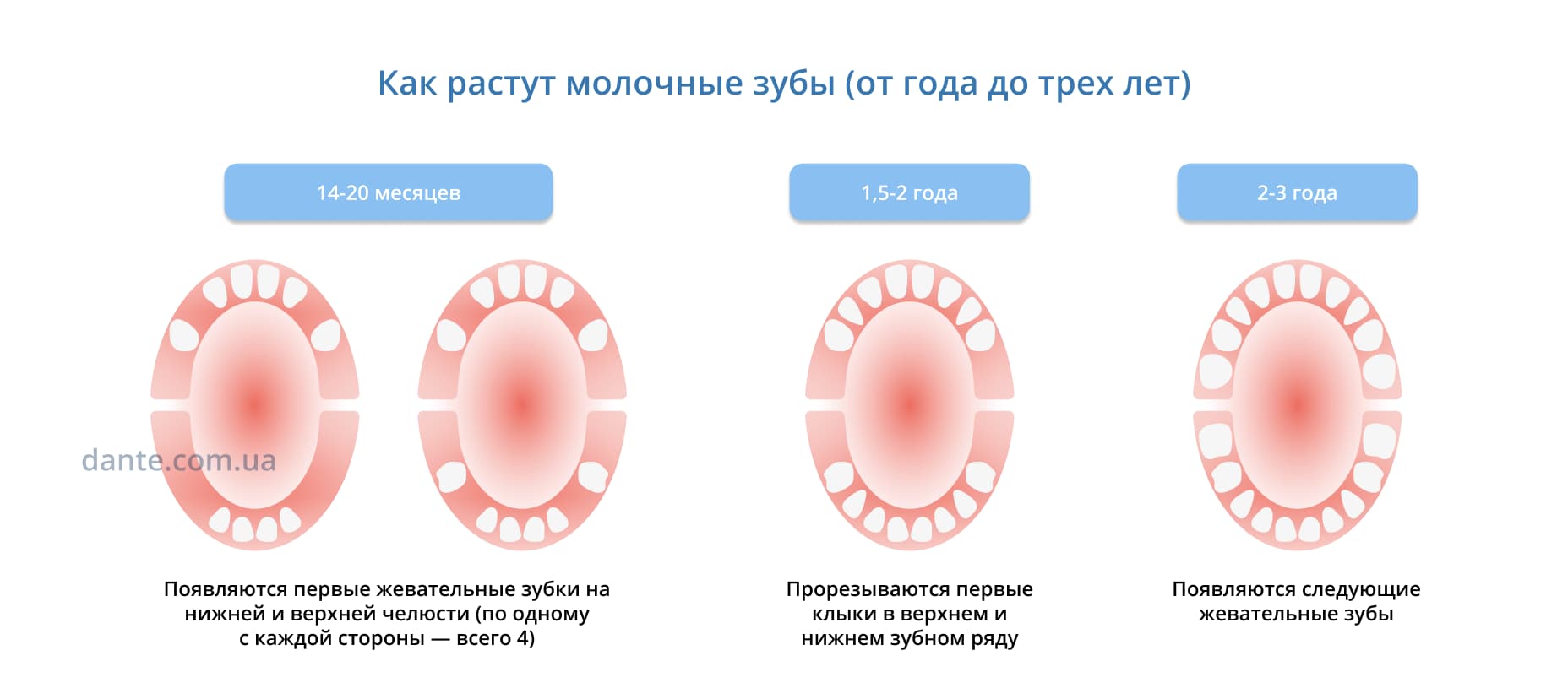 Прорізування зубів у дітей. Як ростуть молочні зуби від 0-1 року