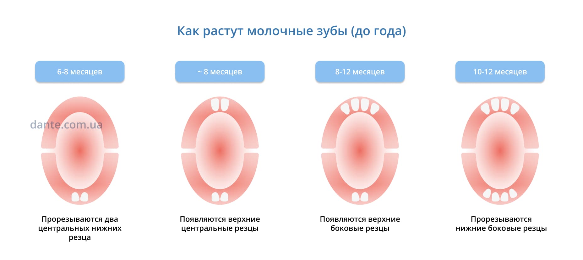 Прорізування зубів у дітей. Як ростуть молочні зуби від 0-1 року