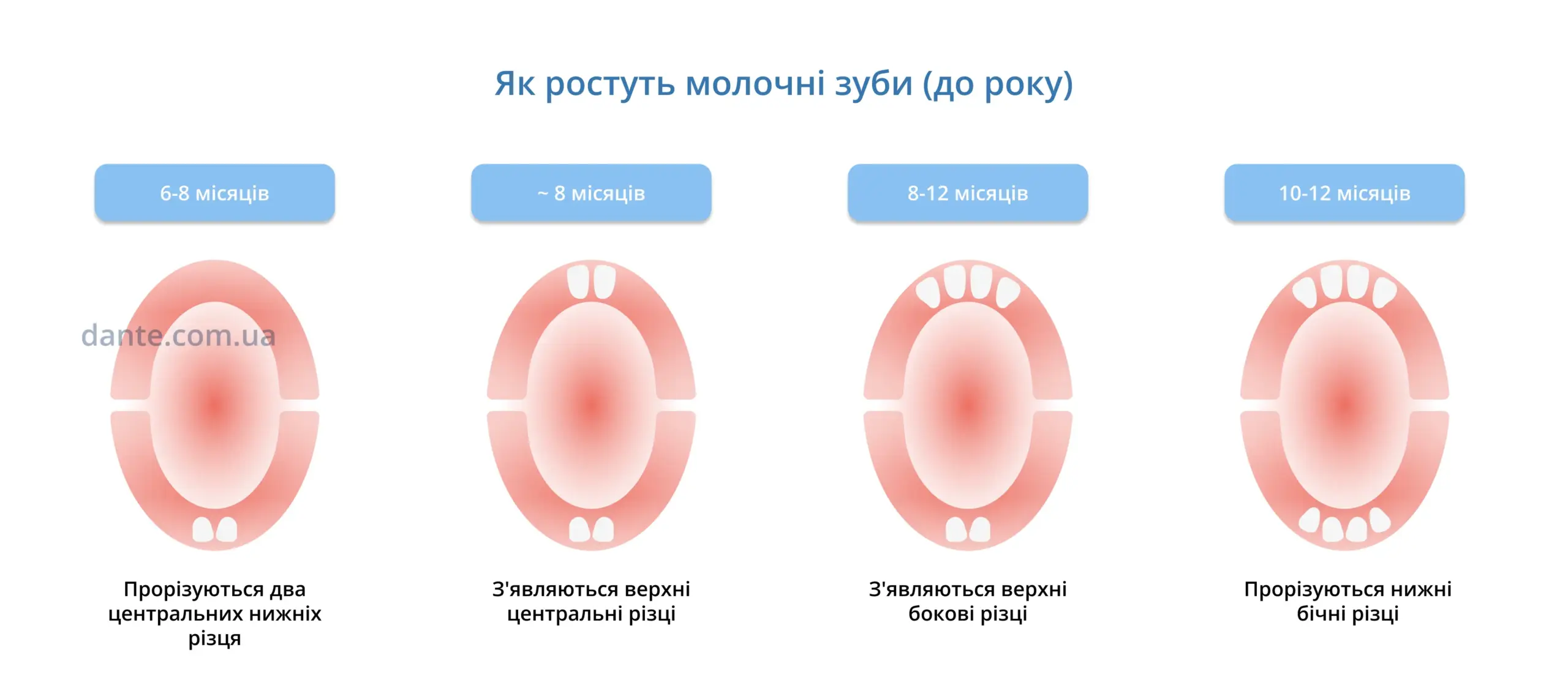 Прорізування зубів у дітей. Як ростуть молочні зуби від 0-1 року