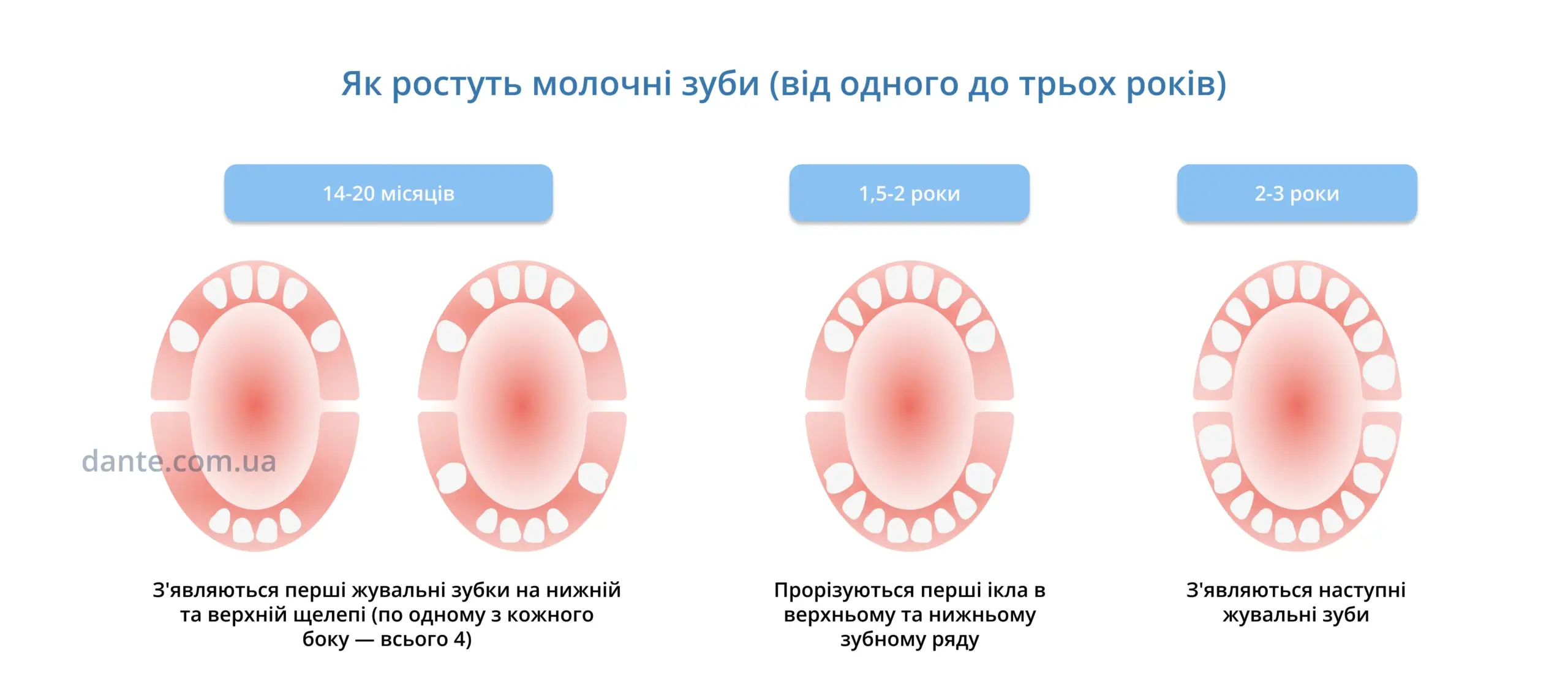 Прорізування зубів у дітей. Як ростуть молочні зуби від 1-3 років