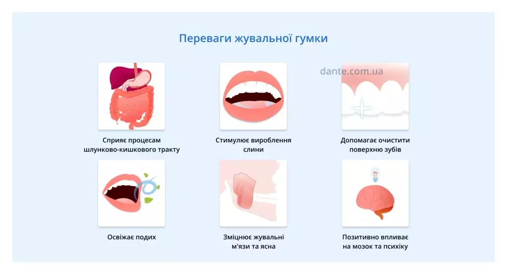 жування жуйки: переваги